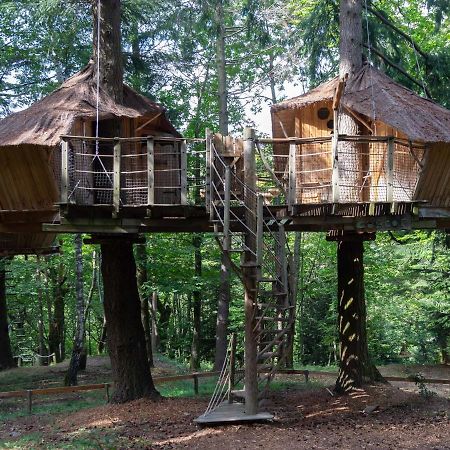 Les Cabanes De Labrousse Saint-Julien-Labrousse Exteriér fotografie
